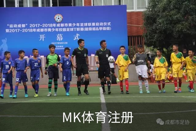 MK体育注册公司简介图